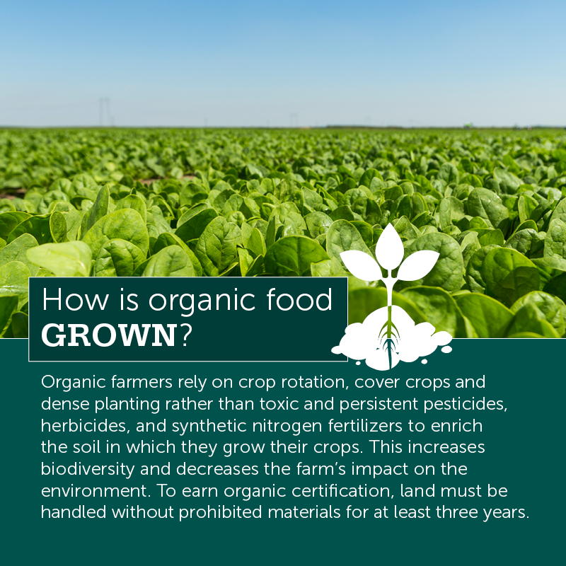 Organic Farming for Dummies