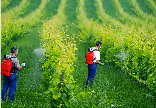 The Ultimate Guide To Wait, Organic Farmers Use Pesticides?